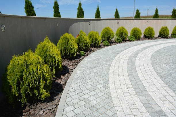Best Professional Driveway Pavers  in Morgan, UT